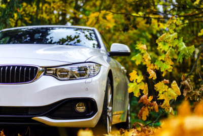 white car and autumn colors
